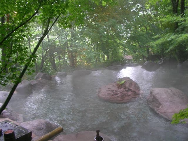 Piscina exterior de onsen japonés con edificios de madera alrededor.
