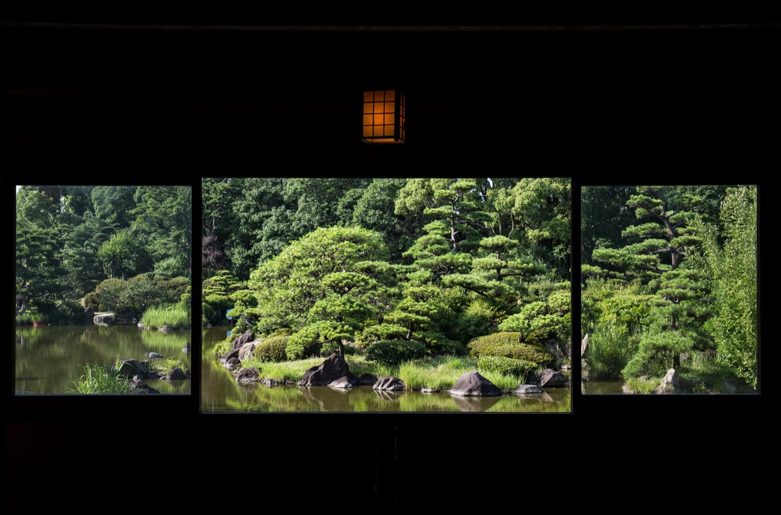 Jardín japonés con estanque, piedras, pinos y vegetación en capas visto desde un punto sombreado.